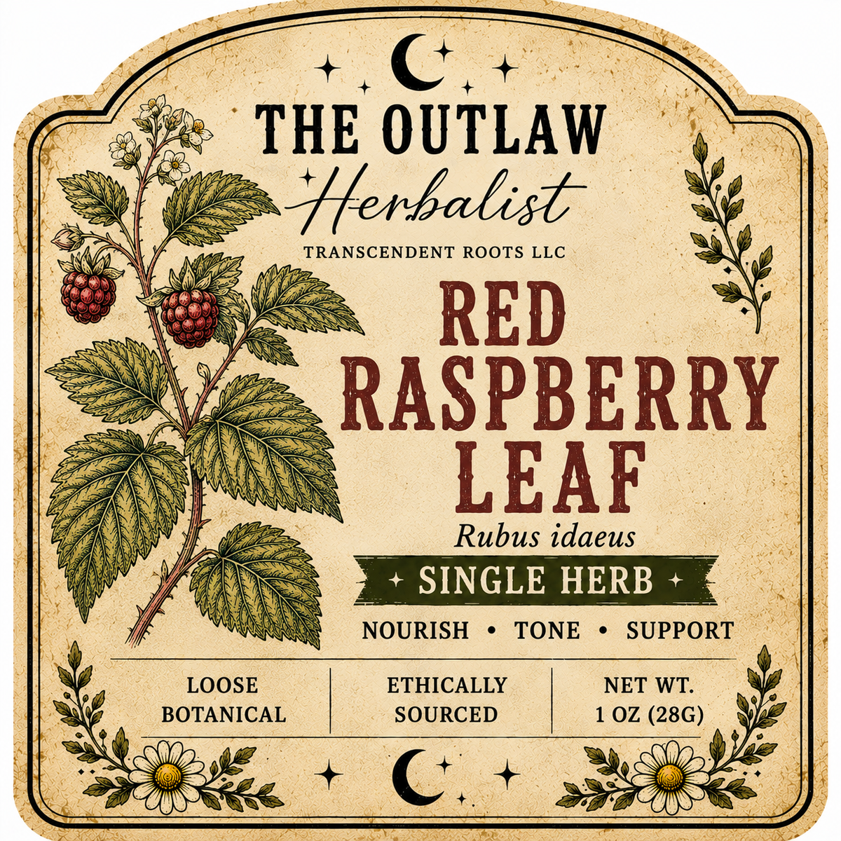 Red Raspberry Leaf | Single Herb Series
