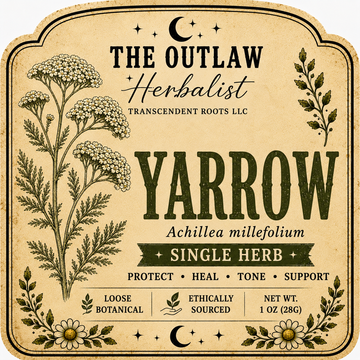Yarrow | Single Herb Series