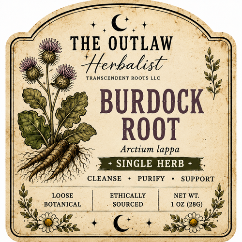 Burdock Root | Single Herb Series