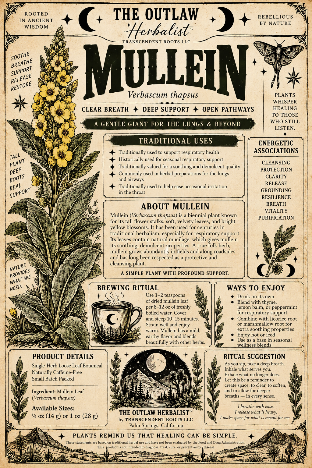Mullein | Single Herb Series