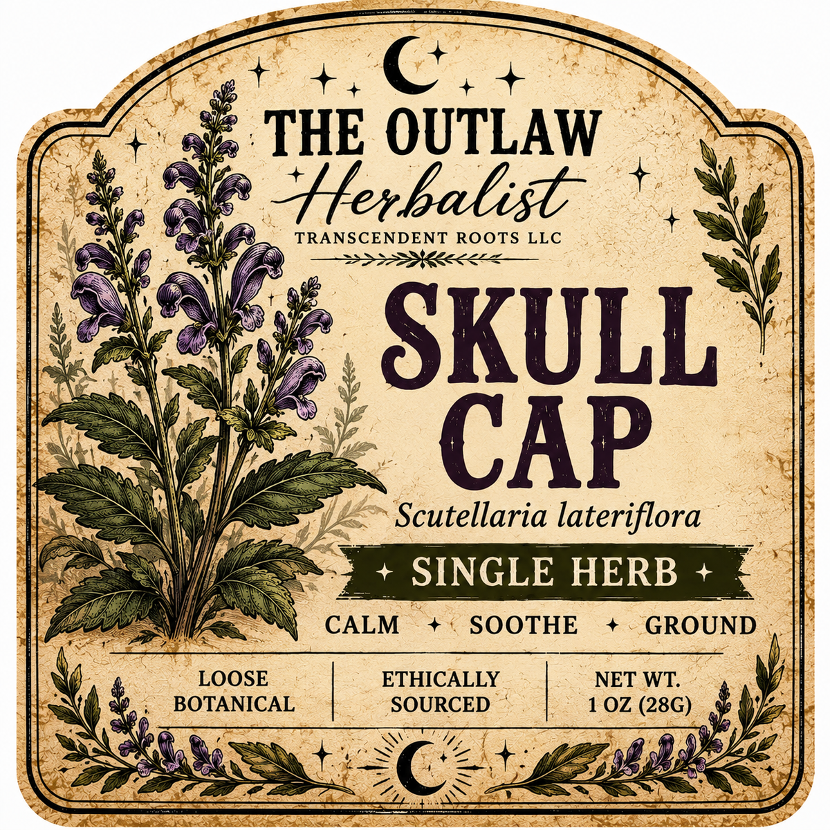 Skullcap | Single Herb Series