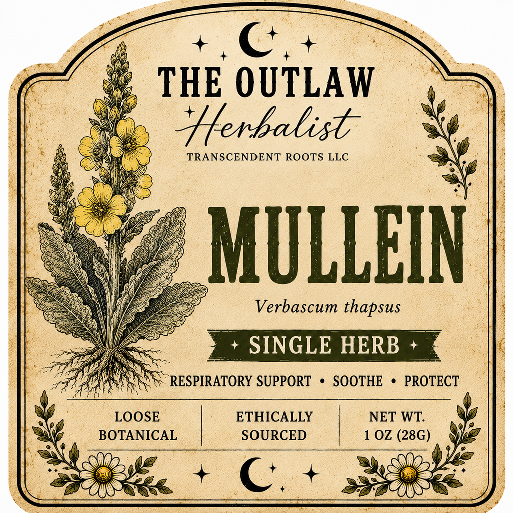 Mullein | Single Herb Series