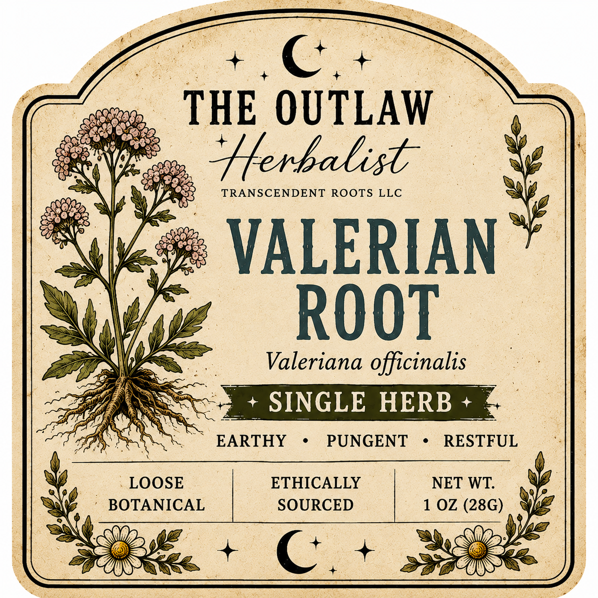 Valerian Root | Single Herb Series