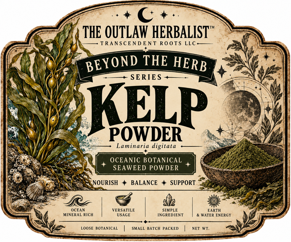 Kelp Powder | Beyond the Herb Series