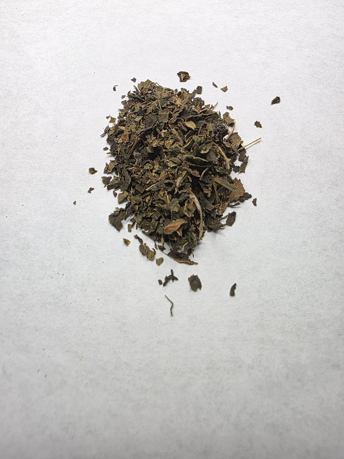 Nettle | Single Herb Series