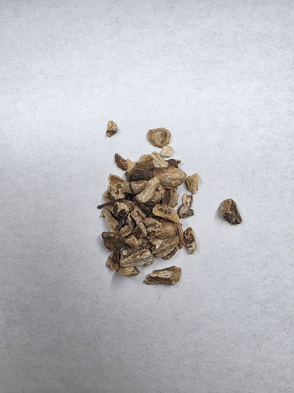 Burdock Root | Single Herb Series