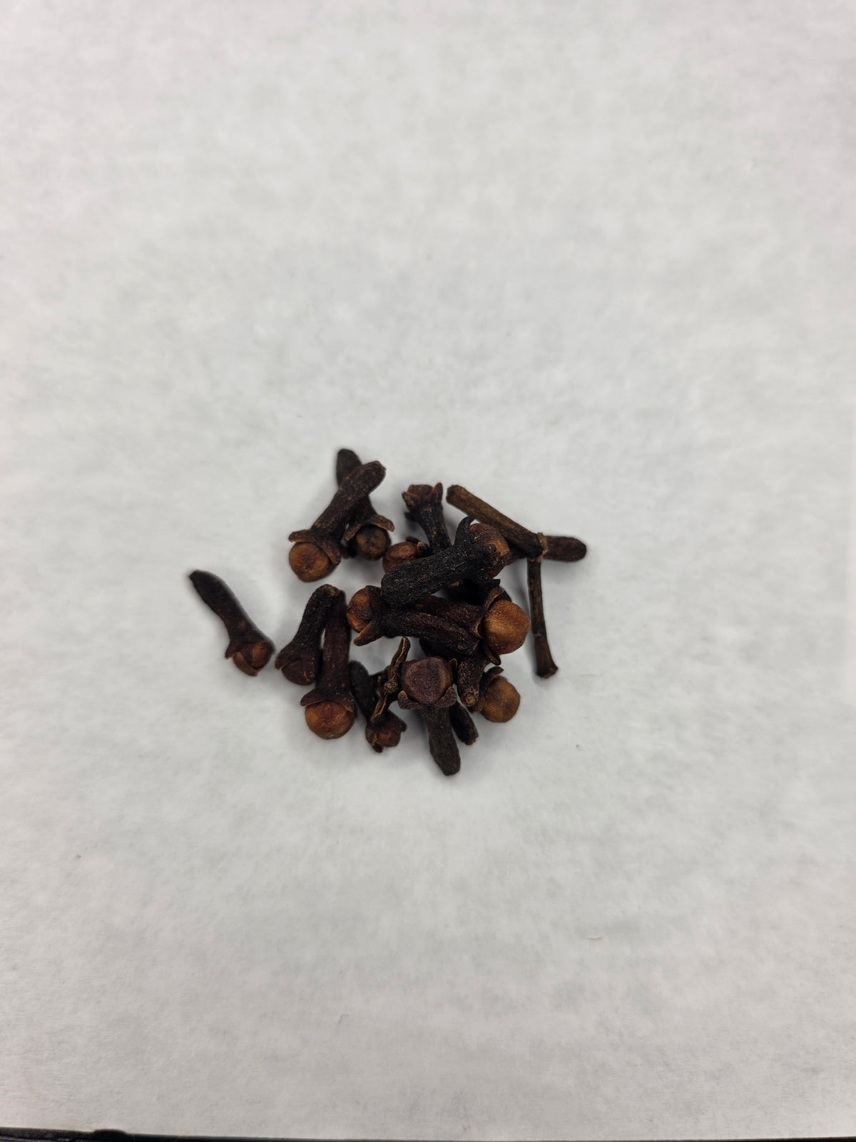 Clove | Single Herb Series