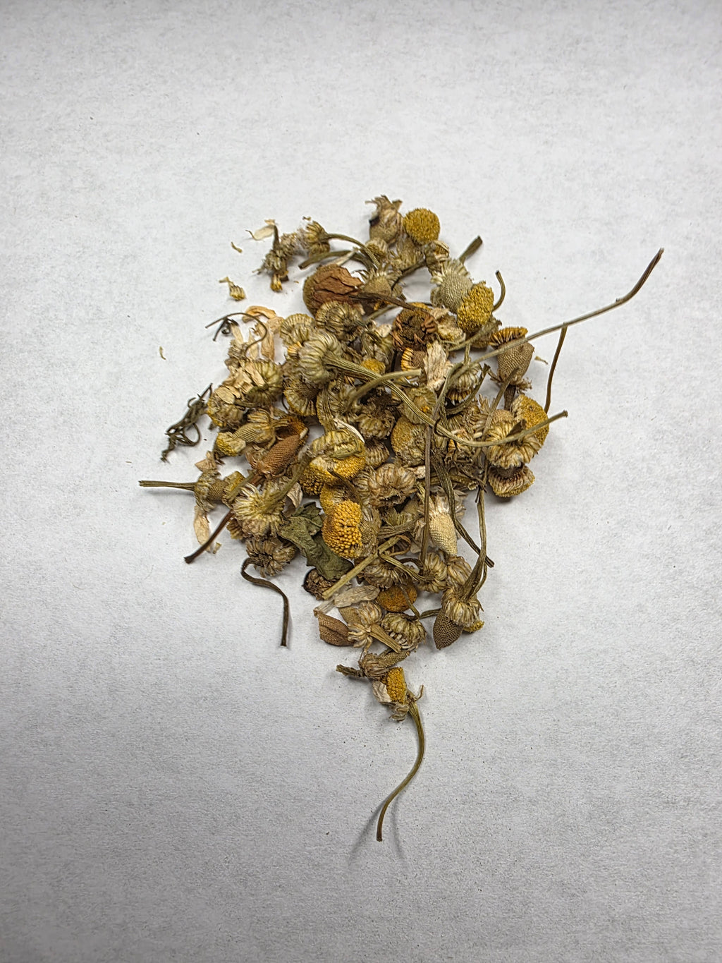 Chamomile | Single Herb Series