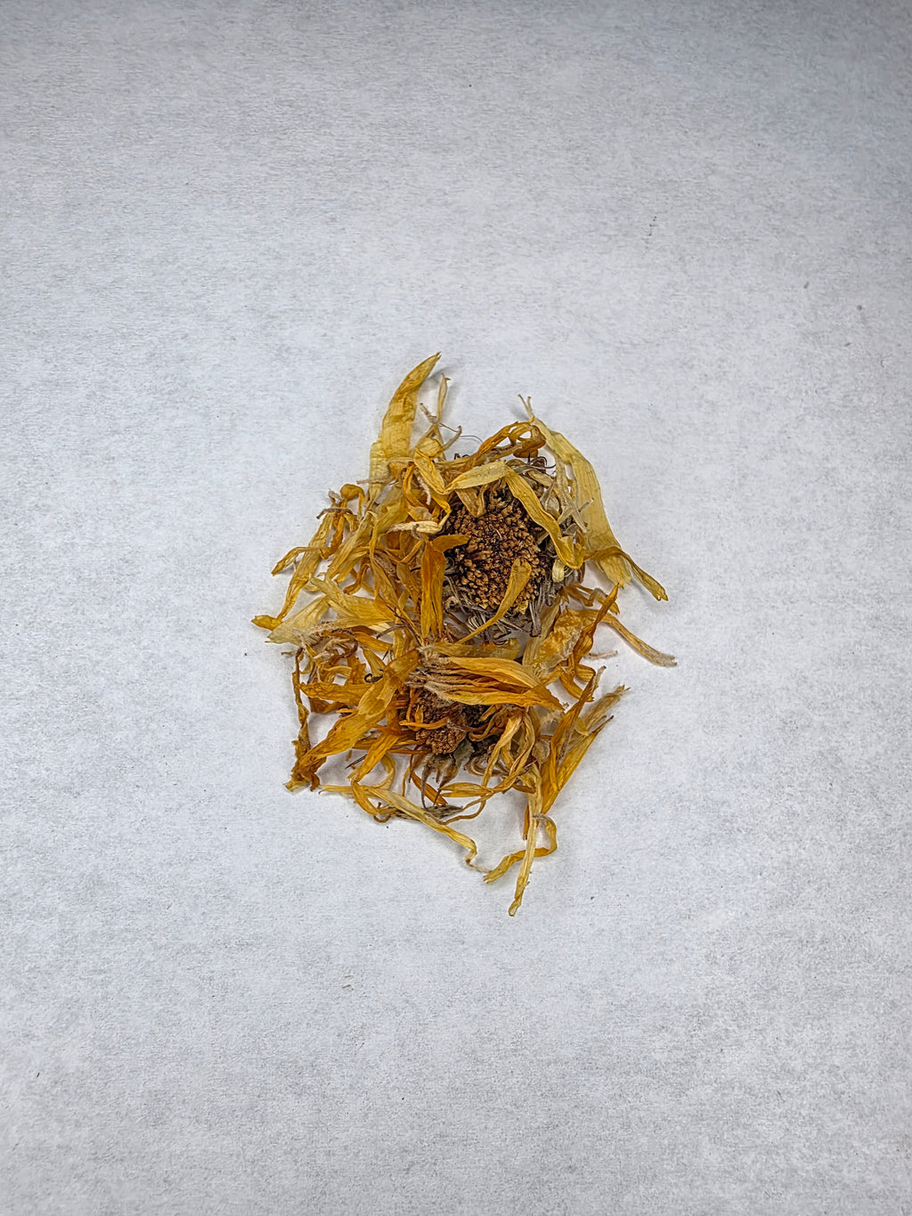 Calendula | Single Herb Series