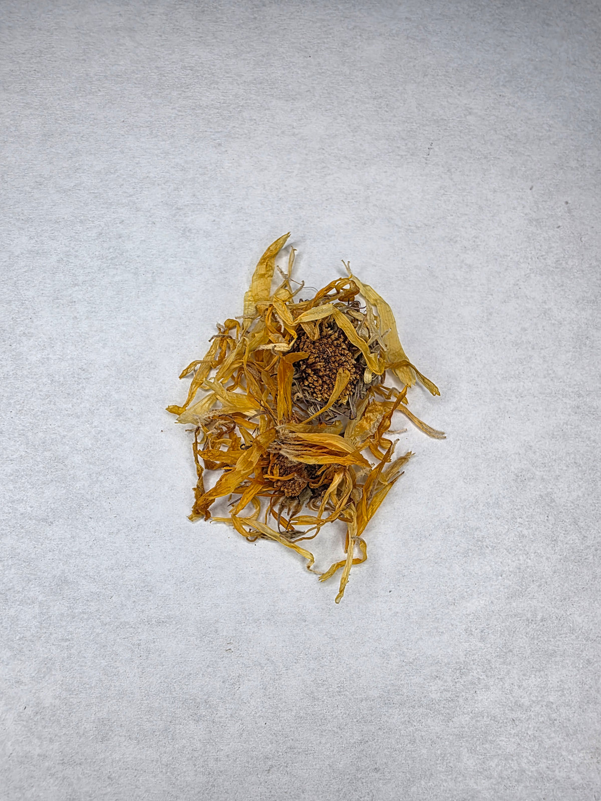 Calendula | Single Herb Series