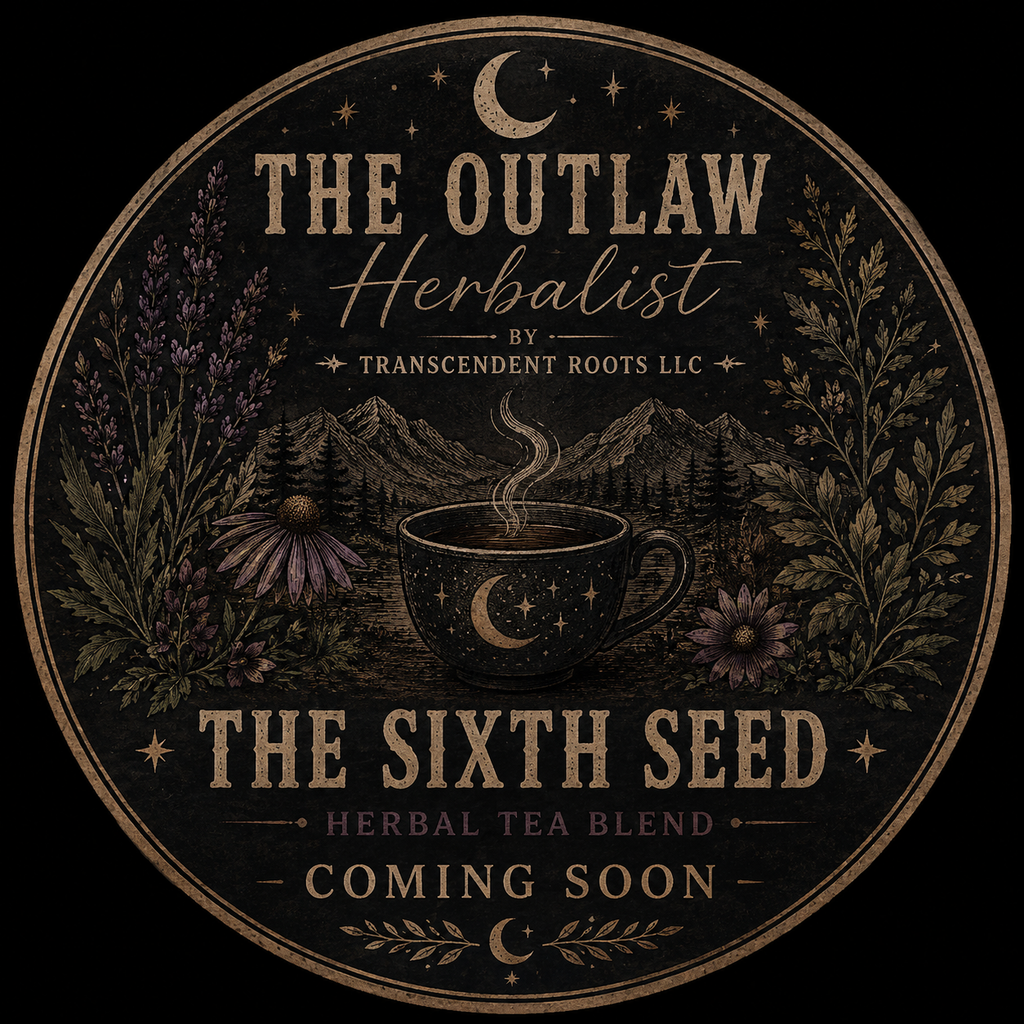 The Sixth Seed - COMING SOON