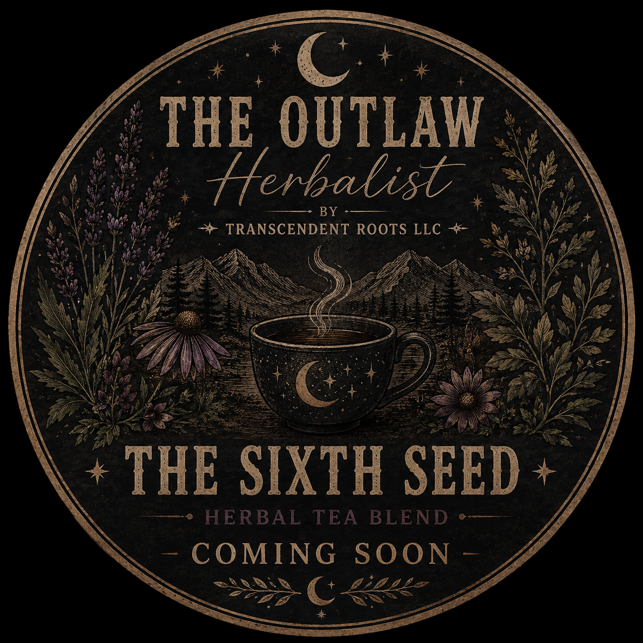The Sixth Seed - COMING SOON